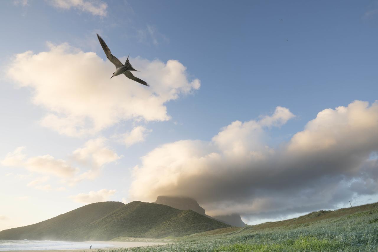 Вилла Arajilla Retreat Lord Howe Island Экстерьер фото
